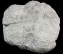 Keokuk Geode with Large Calcite Crystal - Missouri #47108-1